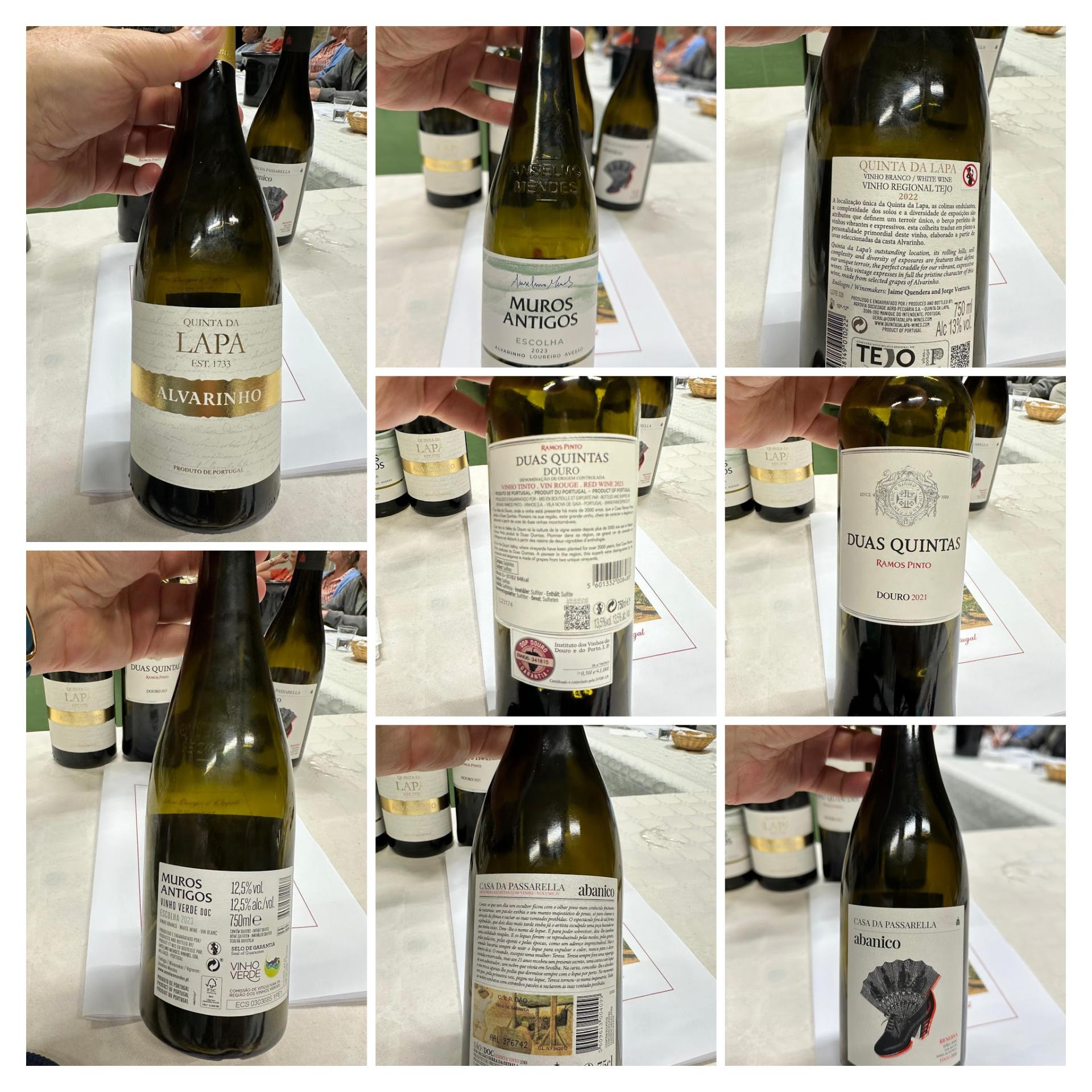 Degustation vins du portugal 6 12