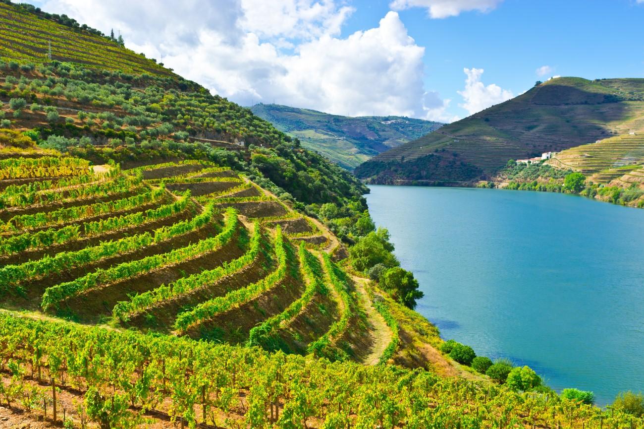 Douro valley wine regions